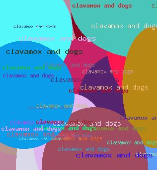Clavamox and dogs