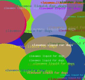 Clavamox liquid for dogs