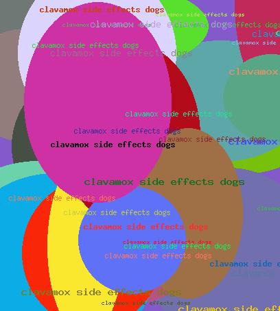 Clavamox Side Effects Dogs