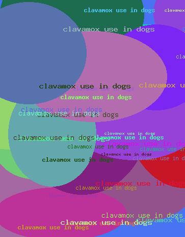 Clavamox Use In Dogs