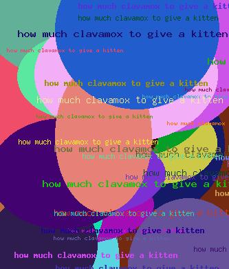 HOW MUCH CLAVAMOX TO GIVE A KITTEN