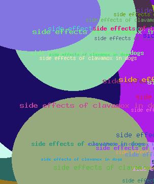 Side Effects Of Clavamox In Dogs